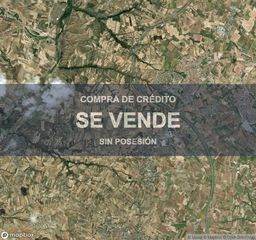 Pis a Carranque
