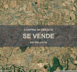 Pis a Escalonilla