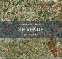 Pis a Marchena