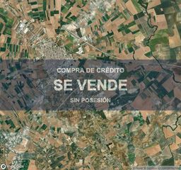 Pis a Marchena