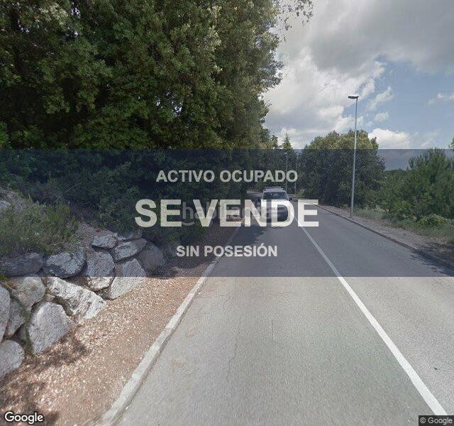 Foto 4e49c8fd-0a4c-4d41-8bf1-66d5a45acf81. Pis a Seva