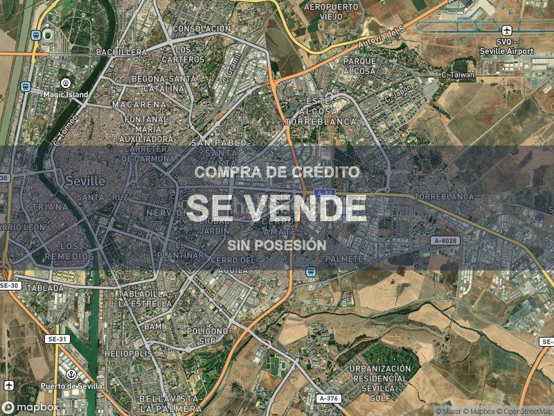 Foto 5833b97e-8d57-48cd-9882-e5ac59b9acbe. Pis a Palmete Sevilla