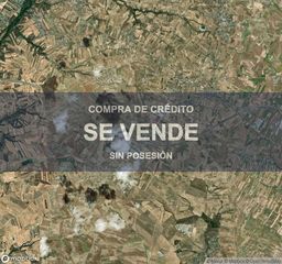 Pis a Cedillo del Condado