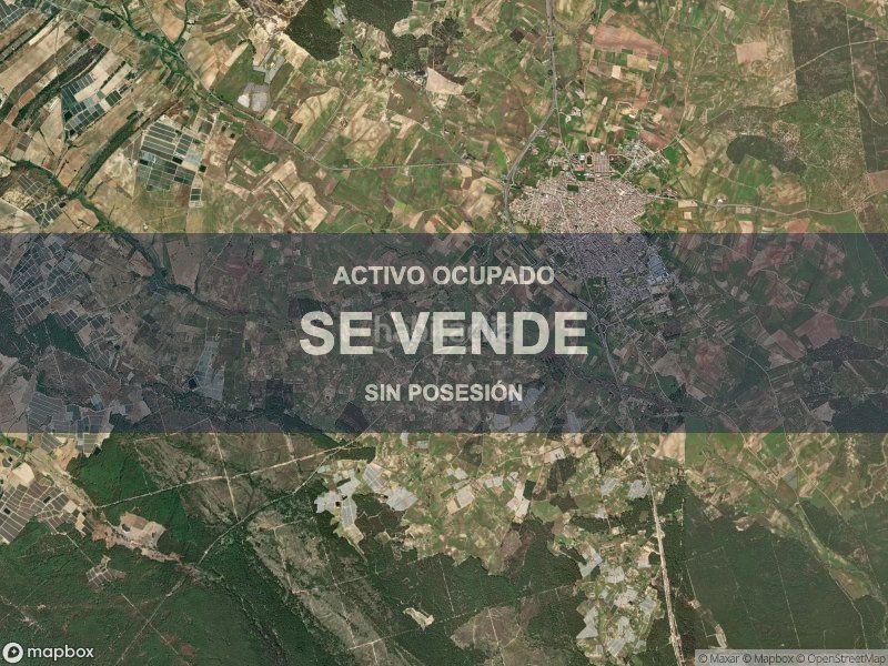 Foto dc6e1271-1e03-44c9-9ba5-ffbbe42618eb. Pis a Almonte Almonte