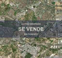 Pis a La Alhóndiga
