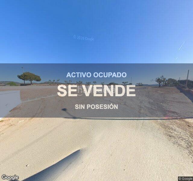 Foto 6d6f7187-b7ae-4a5c-9eeb-1be39fc53188. Pis a Hellín