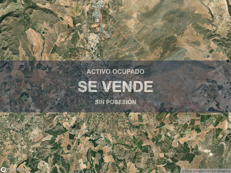 Foto d0c632c2-7d8c-420e-bb89-76d117a79b77. Pis a Hellín