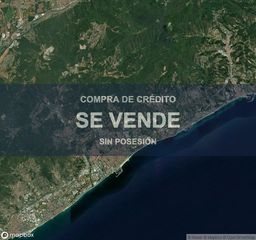 Pis a Cirera