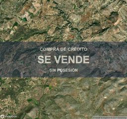 Pis a Loja