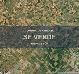 Pis a Carmona