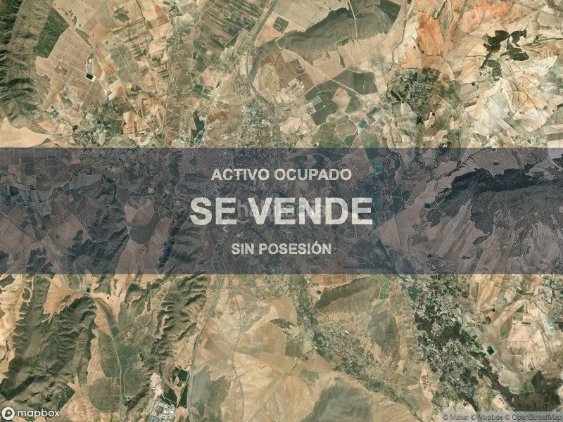 Foto abf9d5ce-fa1d-4c3e-afd1-364ab474c491. Pis a Tobarra