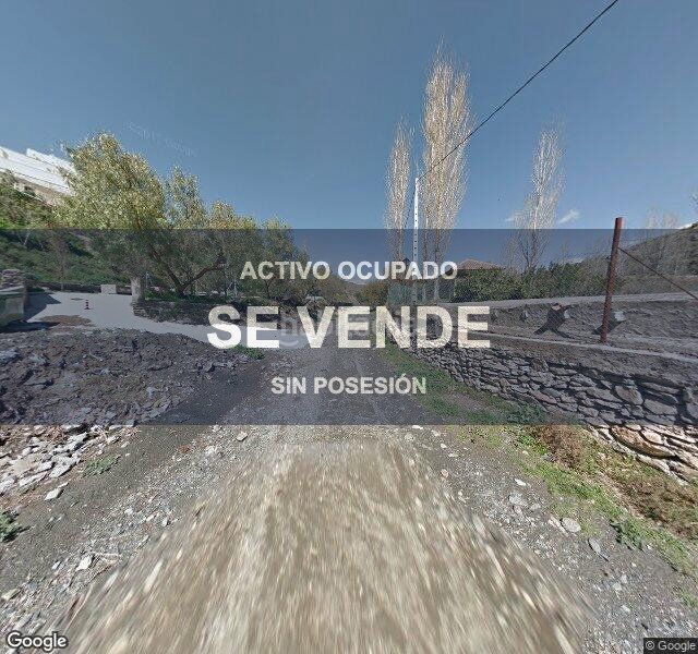 Foto 0d73dc96-7644-4c38-b49d-a936139a72a2. Pis a Nacimiento