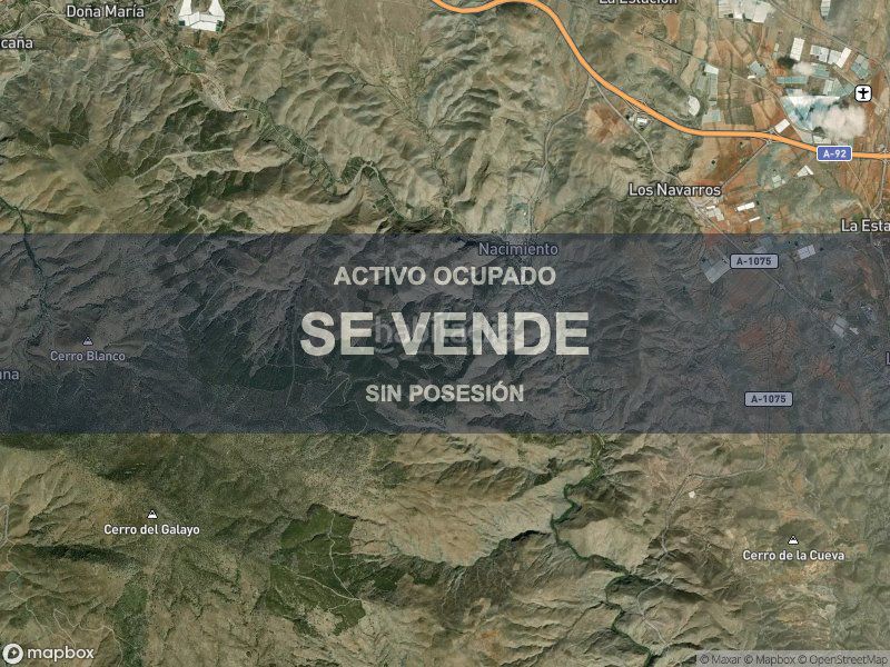 Foto e6d6c8d3-8b2f-4b68-9ae0-5dd359fe890e. Pis a Nacimiento