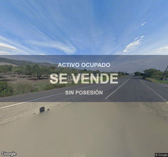Foto c20dd0d1-8b61-4ccd-9e7a-b6d79a54fe6e. Pis a Alcanar