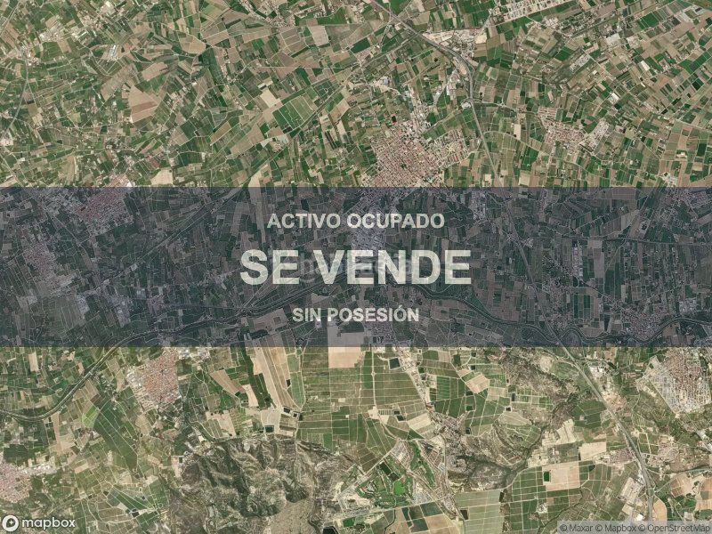 Foto aa9a8192-d0be-4367-a837-d8b680611fc4. Pis a Almoradí