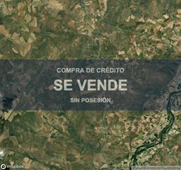 Terreno residenziale in Buenavista. Vivienda en buenavista