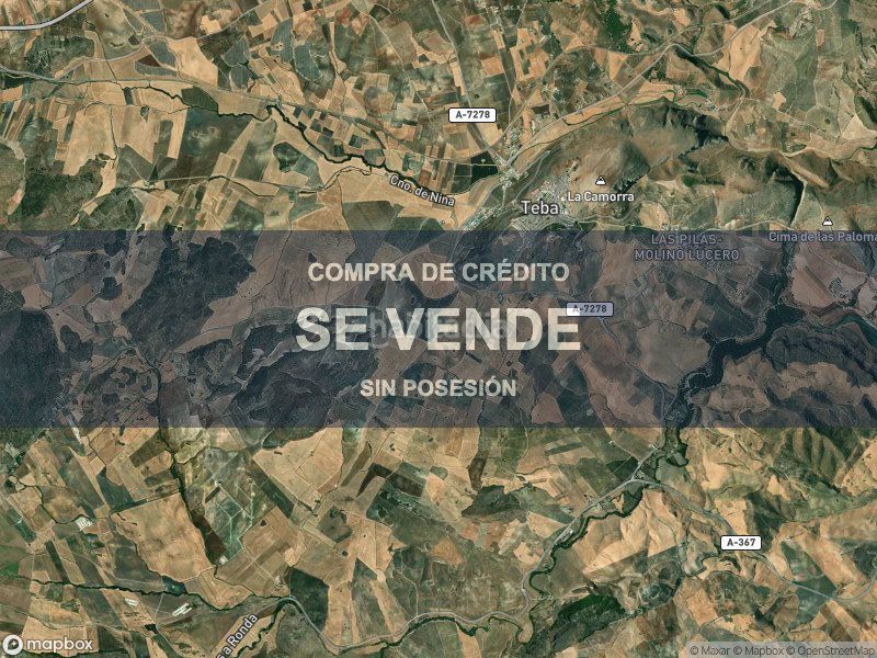 Foto 834b3a87-37af-4029-ad3c-f7c187bfe77f. Pis a Teba