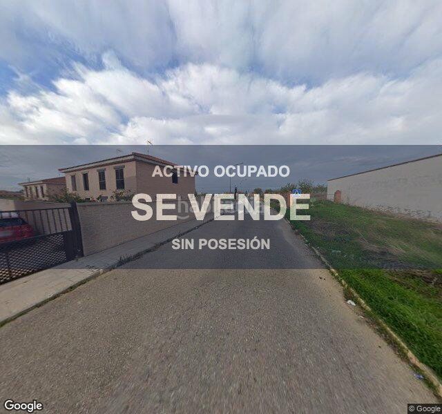 Foto 2e25e32e-5ea5-4184-afec-492203c838a2. Pis a Mora