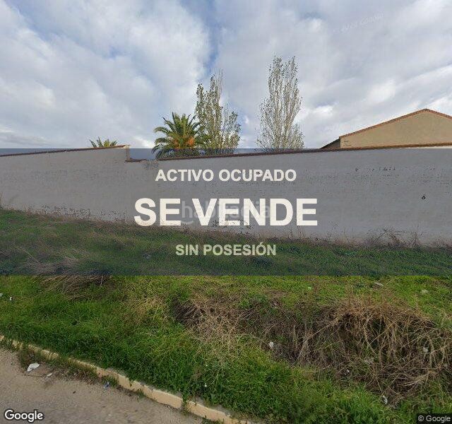 Foto afac15bd-a102-47ea-ae85-c45746310d7f. Pis a Mora