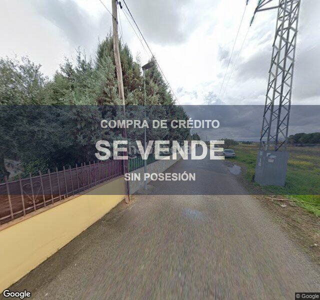 Foto ece3dc08-c9e1-4a3a-82fe-4791c2635c89. Pis a Ugena