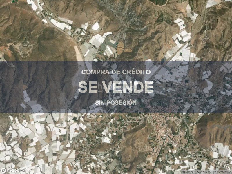 Foto 1ee036f3-3343-4ce0-a4a7-5282c242f551. Pis a Berja