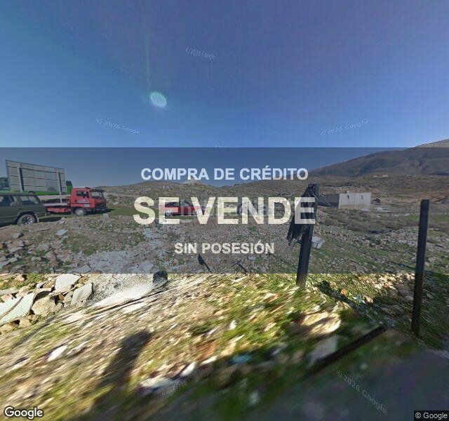 Foto 2bdaf70c-1c98-4fdc-a25c-34eea0d1d7d9. Pis a Berja