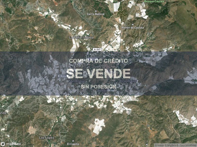 Foto c7437650-10dd-44b7-9797-b32d3dd75ea0. Pis a Berja