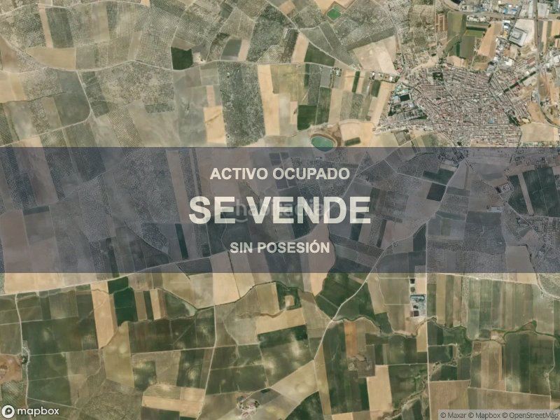 Foto 0ffebddc-260f-4fca-99fe-0f340f7ced55. Pis a Mengíbar