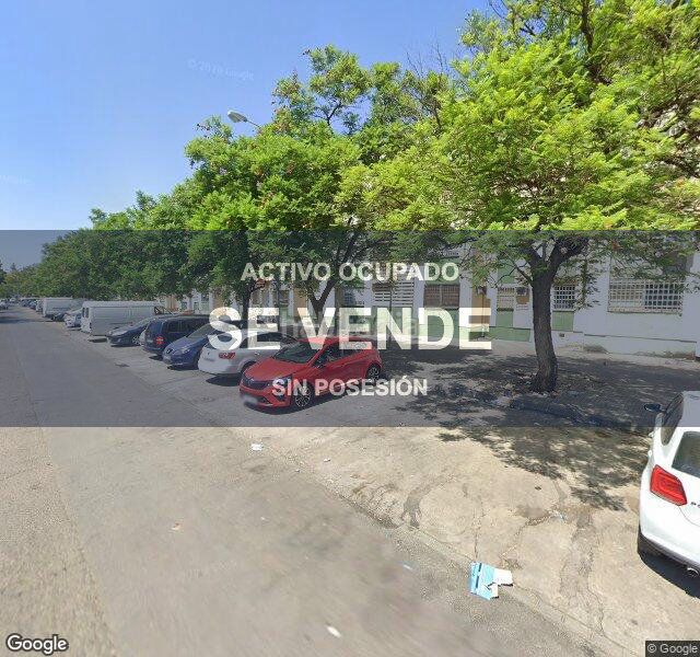 Foto 1d03e4fe-6412-48d6-92f6-192cc2626156. Pis a La Oliva Sevilla