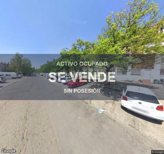Foto 2d9b7465-4079-4389-a911-2a0af7e95574. Pis a La Oliva Sevilla