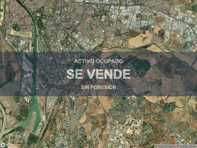 Foto 407d20a2-2ab3-480e-bbf4-4e36c5a57375. Pis a La Oliva Sevilla