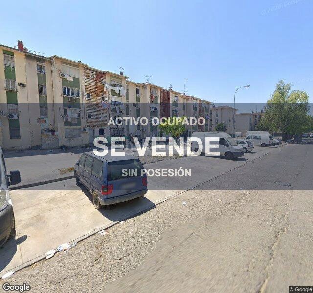 Foto b653b775-3dee-4dcf-8c71-4e76aa4b1fd2. Pis a La Oliva Sevilla