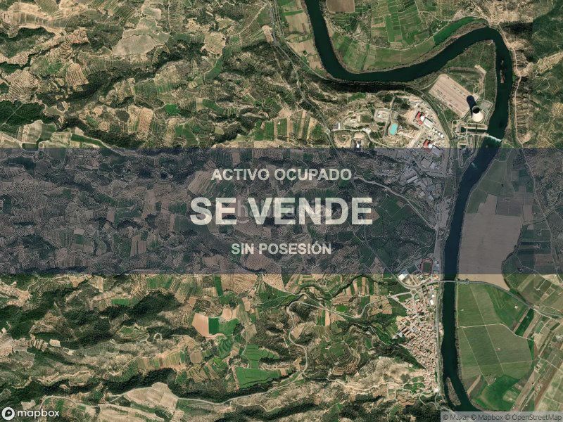 Foto cfc6a8af-223b-49d1-ae3b-b37c514ea85e. Pis a Ascó