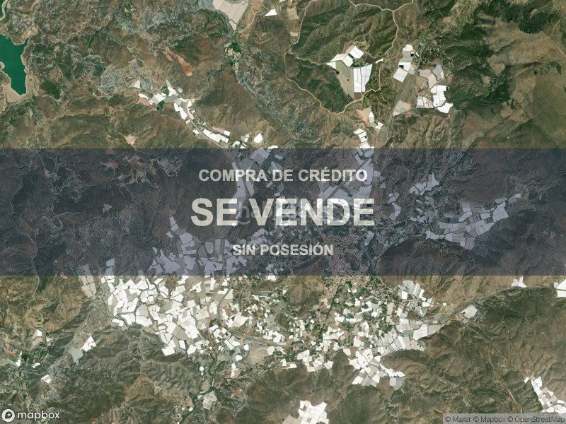 Foto 3f6fd0c9-c48f-4062-ac4d-a9975eec11ef. Pis a Berja