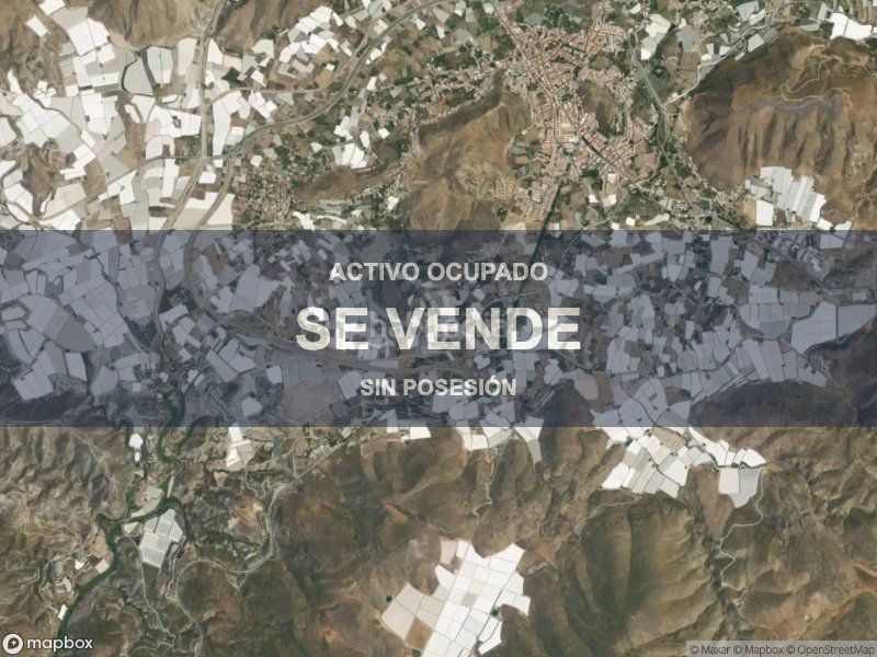 Foto c34814e3-3d75-4139-9e5f-5f35a9012b5a. Pis a Berja
