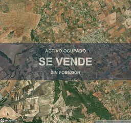 Appartamento in Santa María del Camí. Compra directa  vivienda en santa maria del camí
