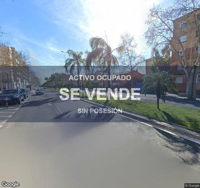 Foto b21885ac-a27d-4087-b57c-cc5743bb8eda. Pis a Migjorn Reus