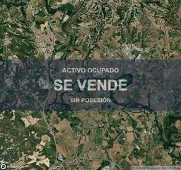 Pis a Manlleu