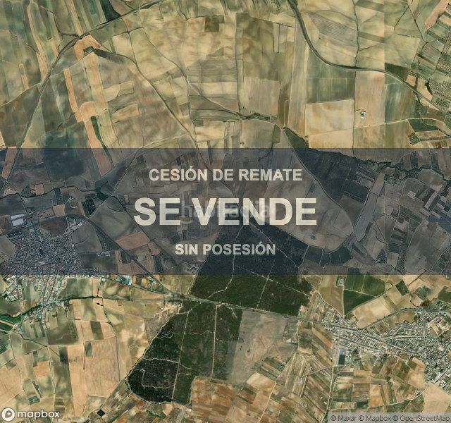 Foto 37dff6d9-48cf-4e7e-815a-99ffcd87d1d9. Pis a Manzanilla