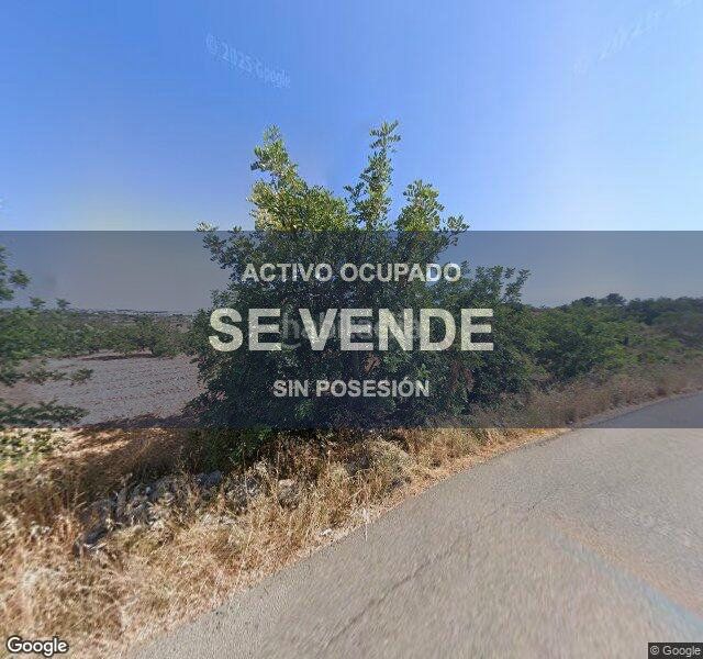 Foto 46eb0c50-14e7-4bd1-a094-1dea7a439b63. Finca rústica a Nord Vilanova i la Geltrú
