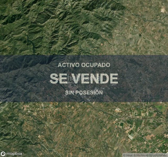 Foto 567b3ef2-72e1-4e93-b08c-f195b3f17e9b. Pis a Sénia (La)
