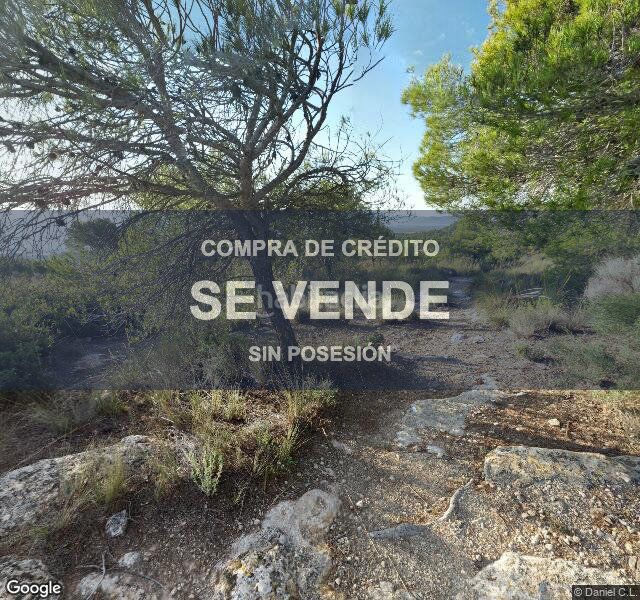 Foto 48d46130-3f09-44b3-a81b-286369fac396. Pis a Yecla