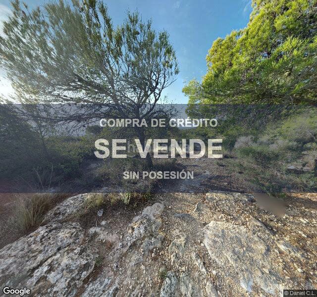 Foto f69ee9c1-e9af-4864-8de8-dc72251b3d5d. Pis a Yecla