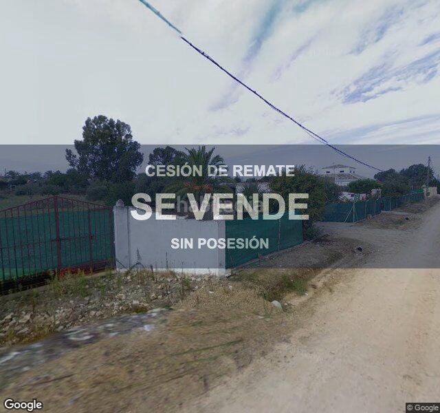 Foto c6ba5009-16c5-4c43-b1a9-93c939b11208. Pis a Carmona