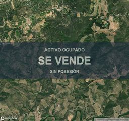 Landgut in Poboleda. Compra directa  vivienda en poboleda
