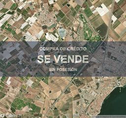 Capannone industriale in Centro. Compra de crédito  nave en los alcázares