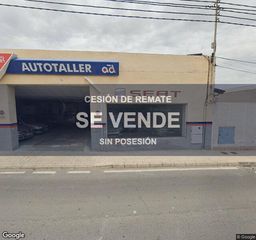 Pis a Divina Pastora