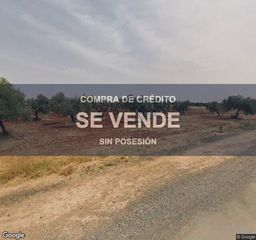 Finca rústica en La Motilla - Fuente del Rey. Compra de crédito  finca rústica en dos hermanas