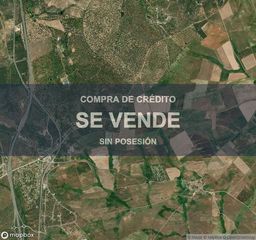 Residential Plot in Buenavista. Compra de crédito  terreno en buenavista