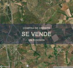 Residential Plot in Buenavista. Compra de crédito  terreno en buenavista